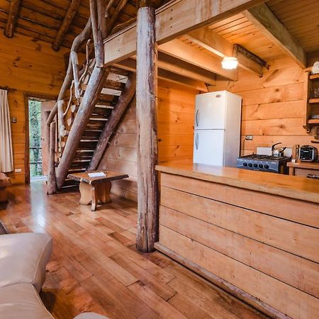 Huilo Huilo Cabanas Del Bosque Пуерто-Фуй Екстер'єр фото