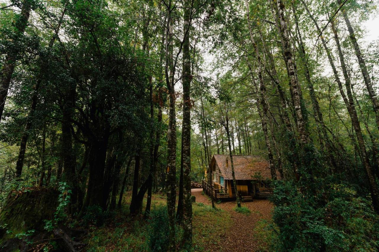Huilo Huilo Cabanas Del Bosque Пуерто-Фуй Номер фото