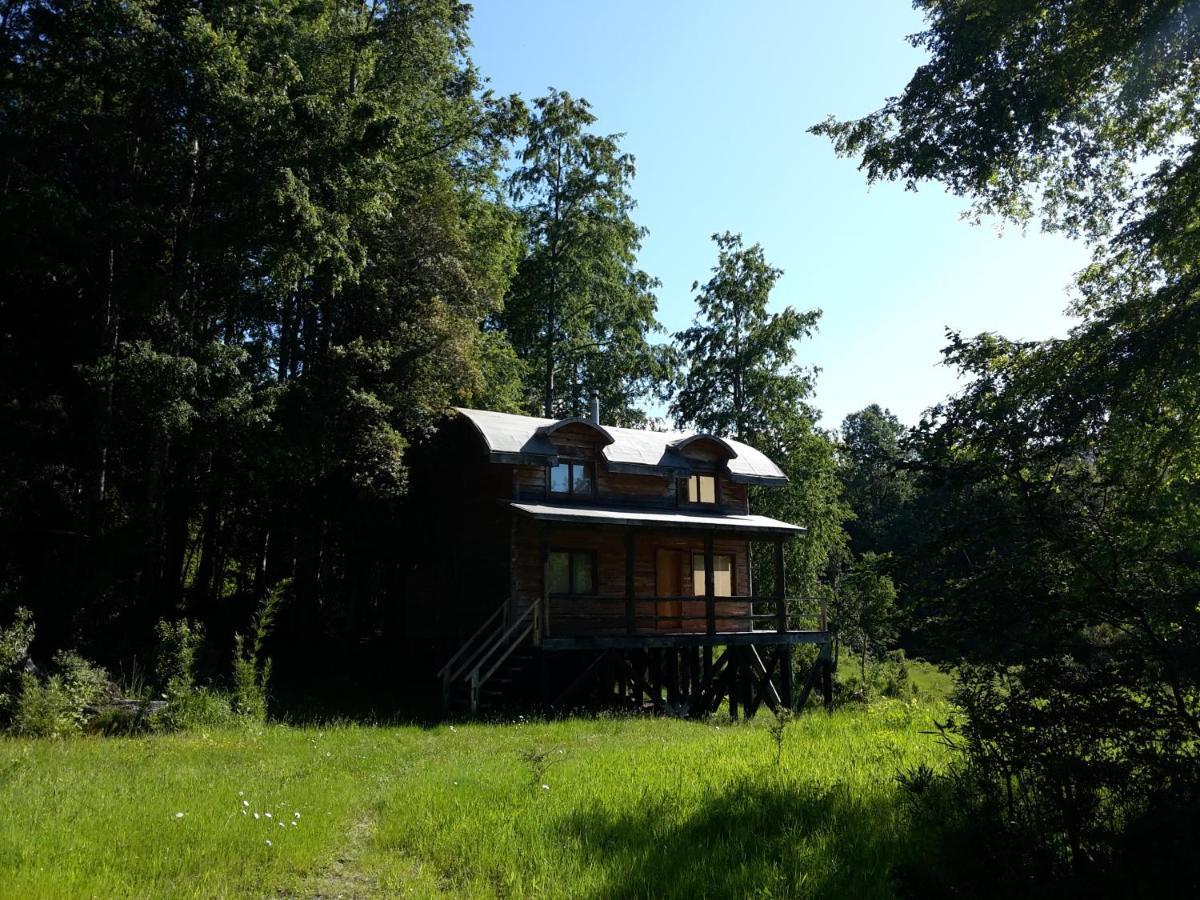 Huilo Huilo Cabanas Del Bosque Пуерто-Фуй Екстер'єр фото