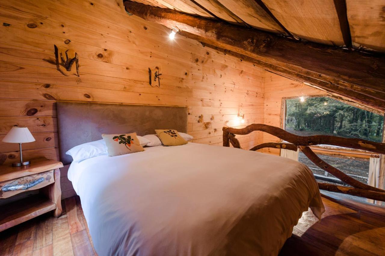 Huilo Huilo Cabanas Del Bosque Пуерто-Фуй Номер фото